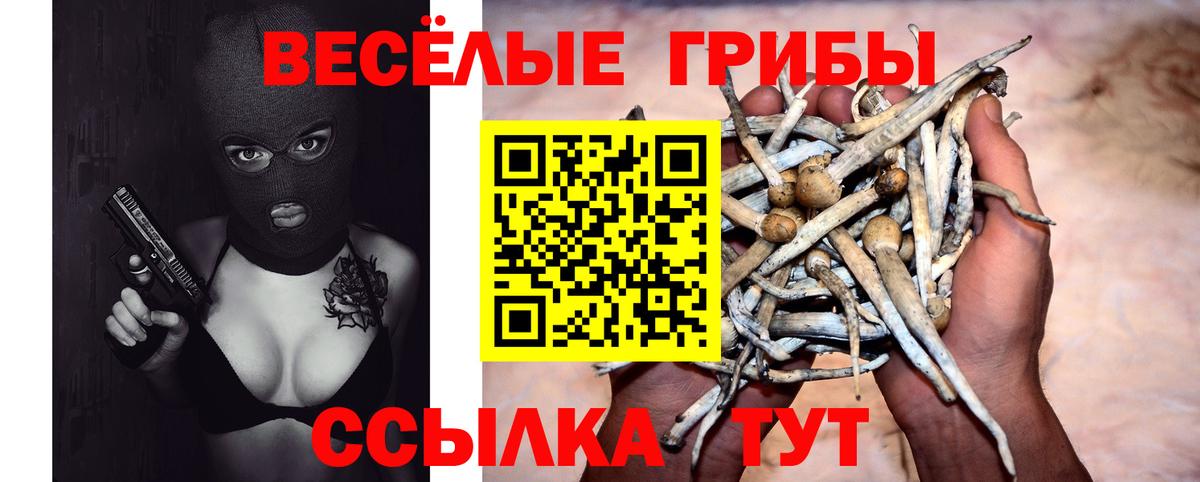 Псилоцибиновые грибы MAGIC MUSHROOMS Можга