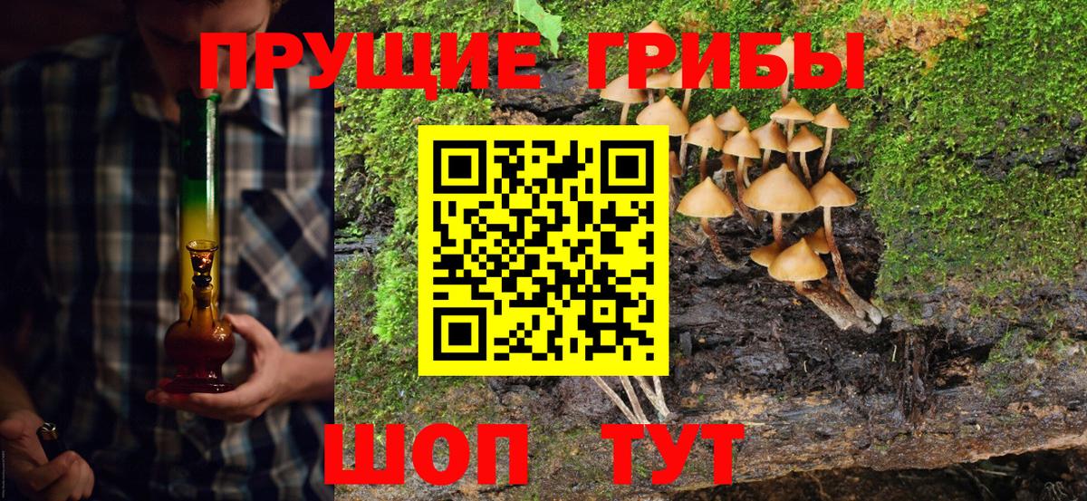 Можга  Галлюциногенные грибы Magic Shrooms  Вход с VPN  Псилоцибиновые грибы ЛСД 
